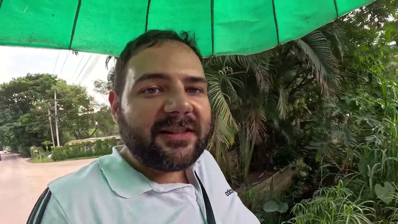 Estaba pasando a un elefantito que estaba tomando agua en Chiang Mai en Tailandia