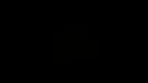 Biggest night yet for Trump