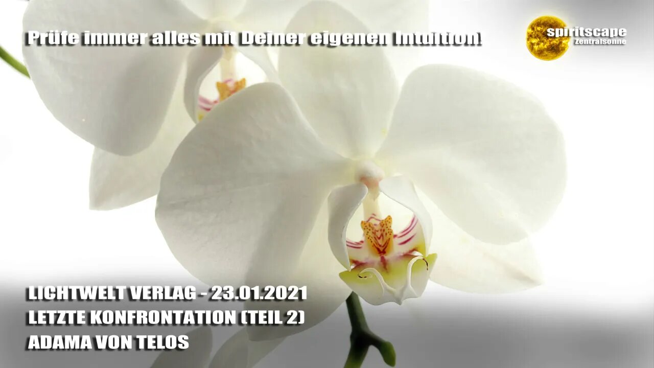 LETZTE KONFRONTATION (TEIL 2) - ADAMA VON TELOS - LWV