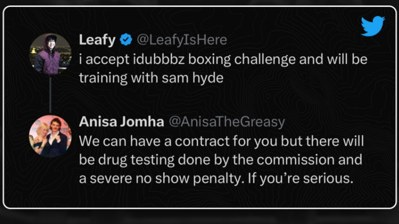 i accept idubbbz offer to fight