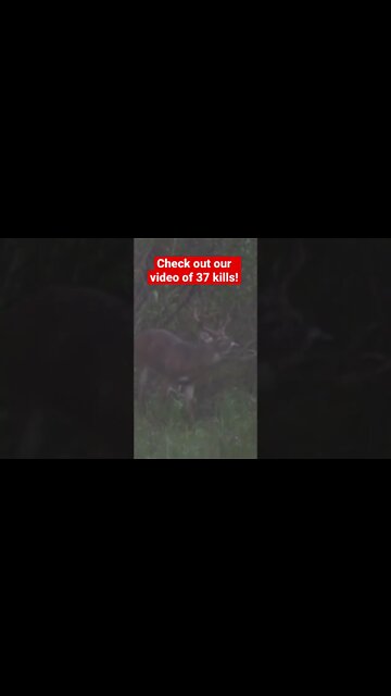 Georgia Deer Gets Smoked! KILL SHOT Part 2