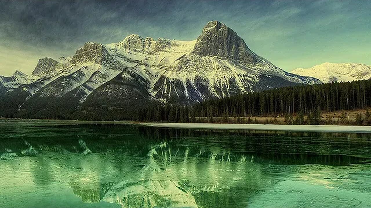 Harmony of Creation Embracing the Serenity of Nature