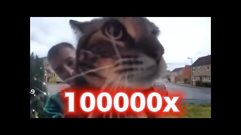 cat meows into the camera 1x, 2x, 5x, 10x, 1000000x