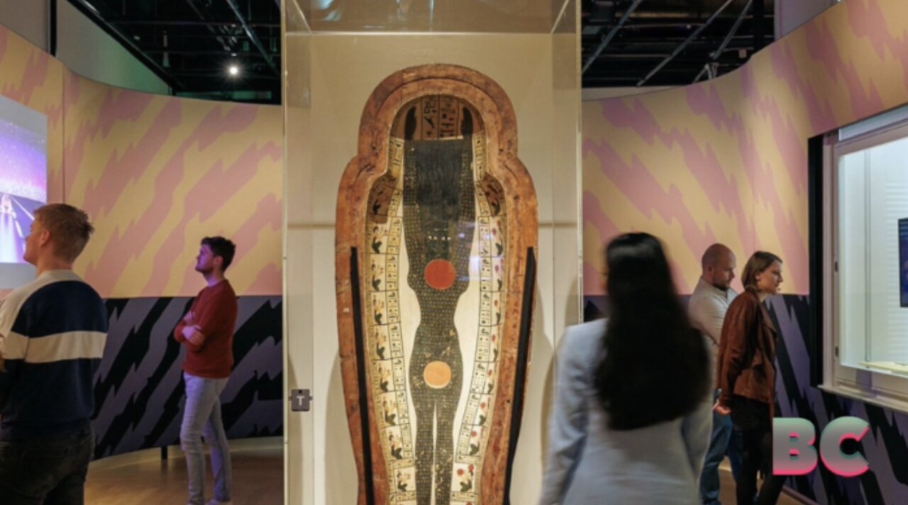 Egypt bans Dutch archaeology team from Saqqara due to museum’s ‘Afrocentric’ exhibition