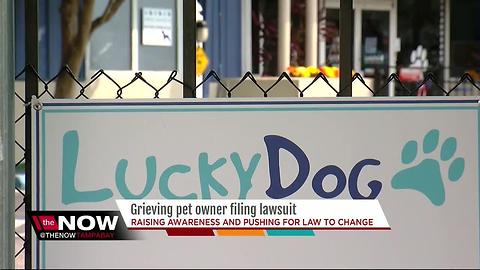 Grieving pet owner filing lawsuit