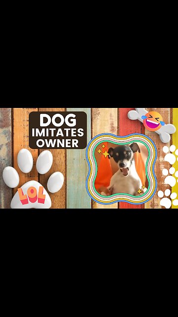 Dog Imitates Owner 🤣 Hilarious