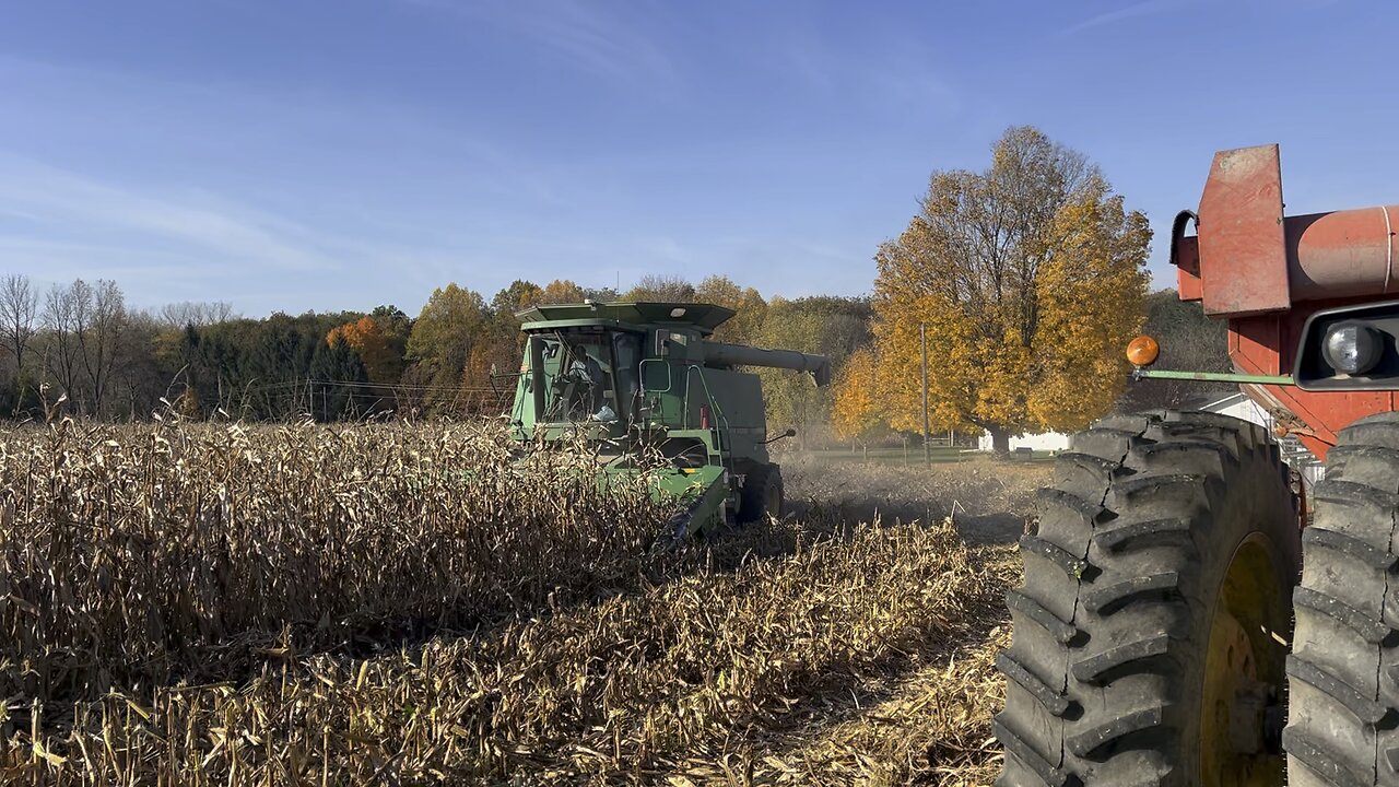 Harvesting Corn fall 2024