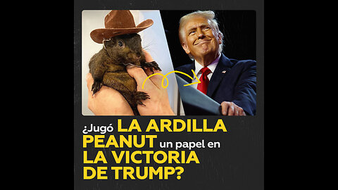 El dueño de Peanut cree que la muerte de la ardilla pudo “jugar un papel” en la victoria de Trump