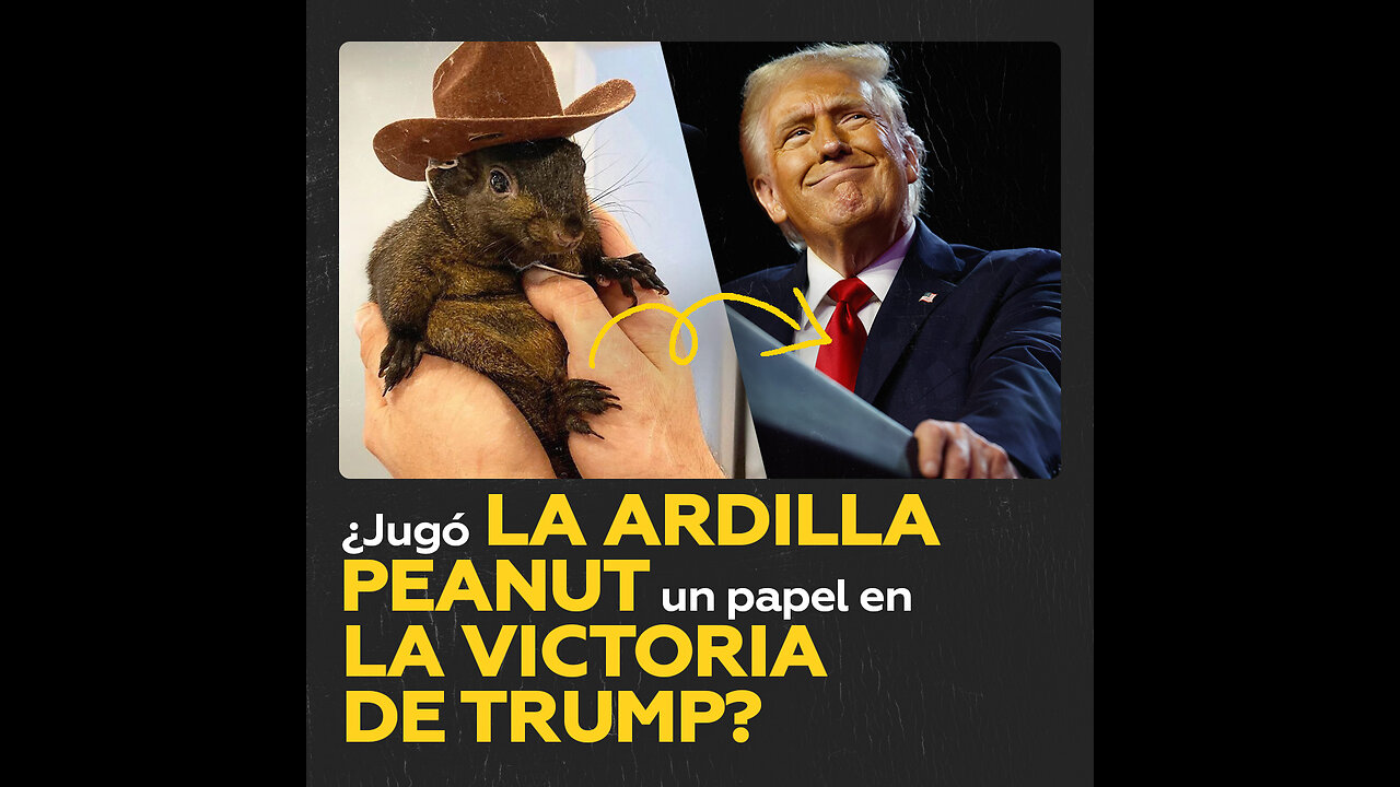 El dueño de Peanut cree que la muerte de la ardilla pudo “jugar un papel” en la victoria de Trump