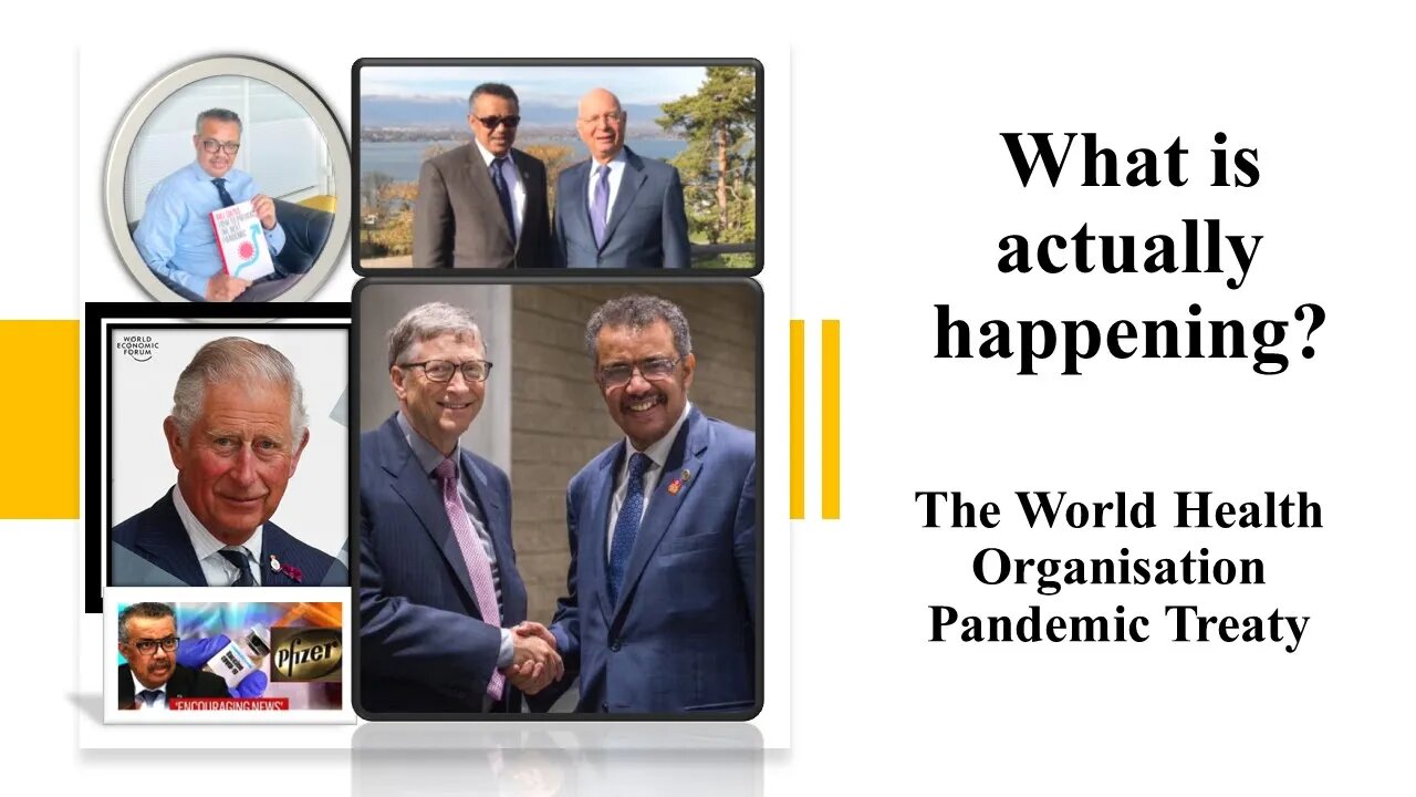 WHO Pandemic Treaty, What is actually Happening and What is the Timeframe