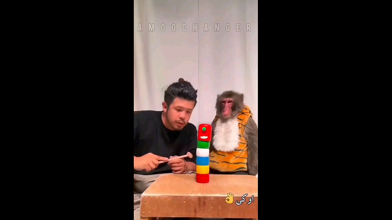 fun animals5