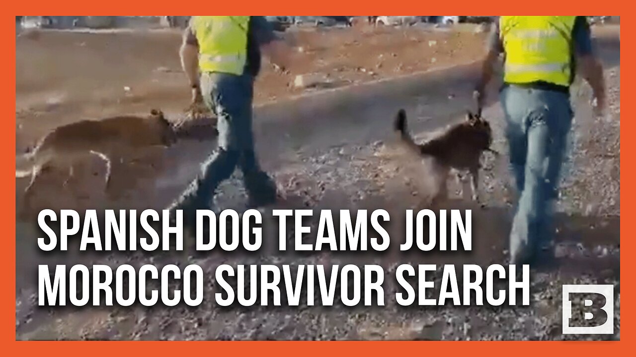 Spanish Dog Teams Aid Morocco's Earthquake Search and Rescue Efforts