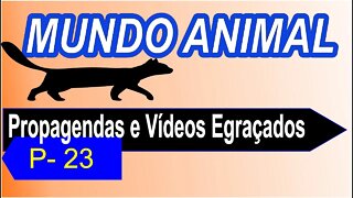 Propagandas e Vídeos Engraçados / P - 23