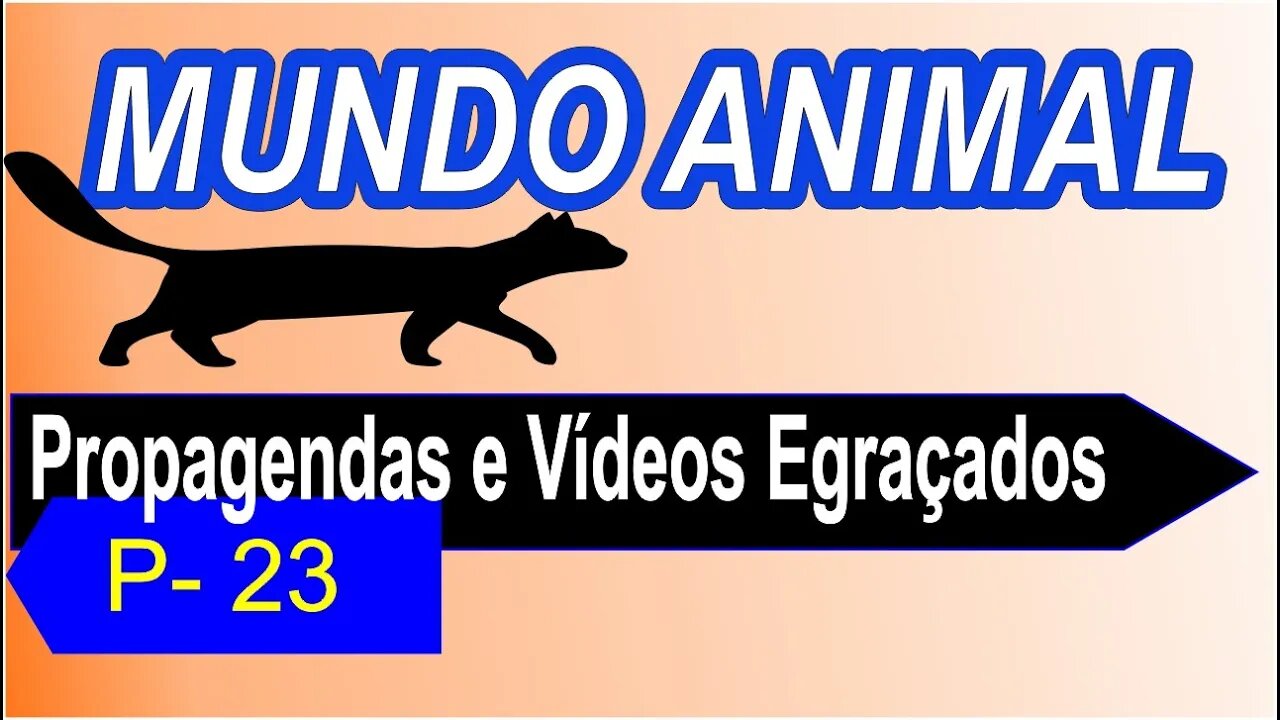 Propagandas e Vídeos Engraçados / P - 23