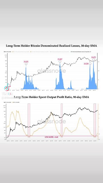 BITCOIN BULL RUN🚨