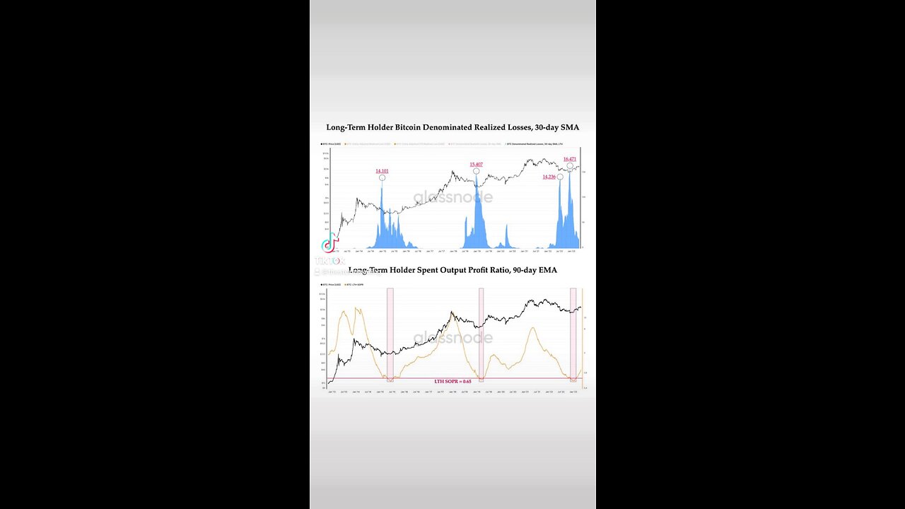 BITCOIN BULL RUN🚨