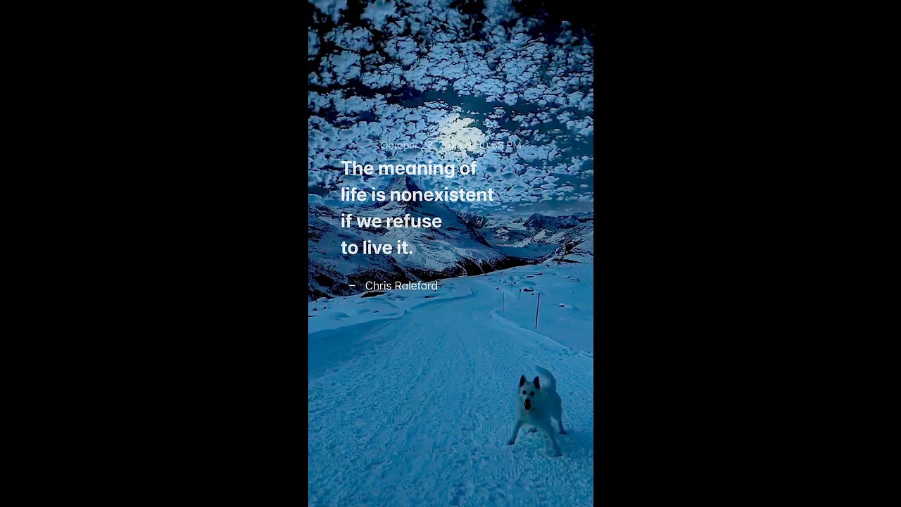 The meaning of life is nonexistent if we refuse to live it - Chris Raleford