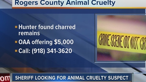 Sheriff looking for suspect after puppies set on fire