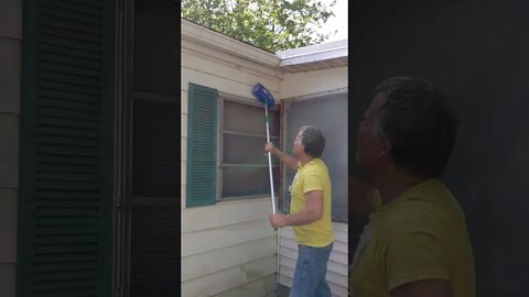Getting Homestead Tessies Home All Cleaned Up!