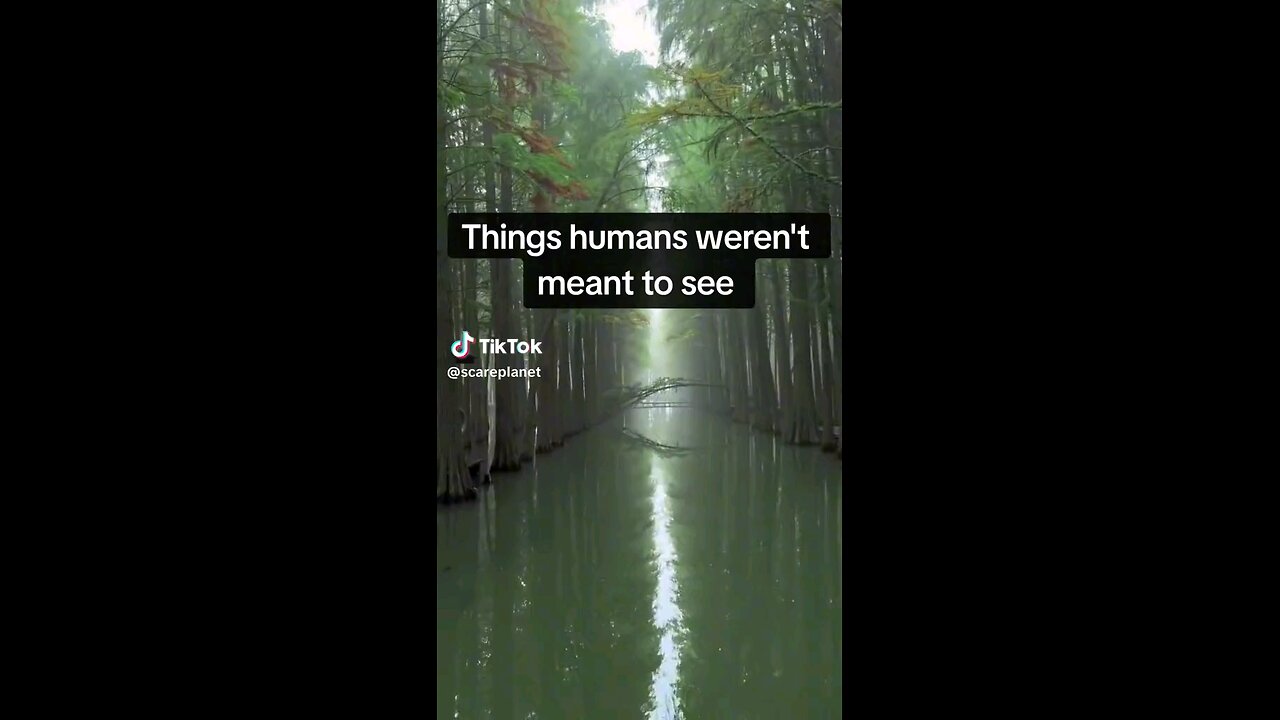 things humans wasn't meant to see