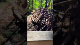 Bridge over water on the trails