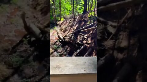 Bridge over water on the trails