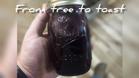 Mulberry jelly YUM!!!