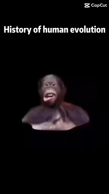 Stay human in a world full of c***s