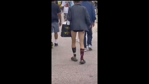 funny videos