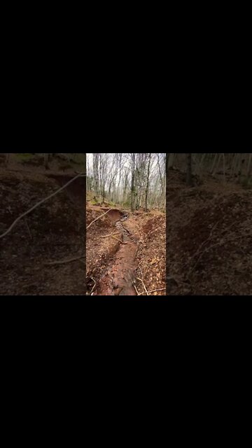 Listen to the relaxing sound of water flowing in a forest