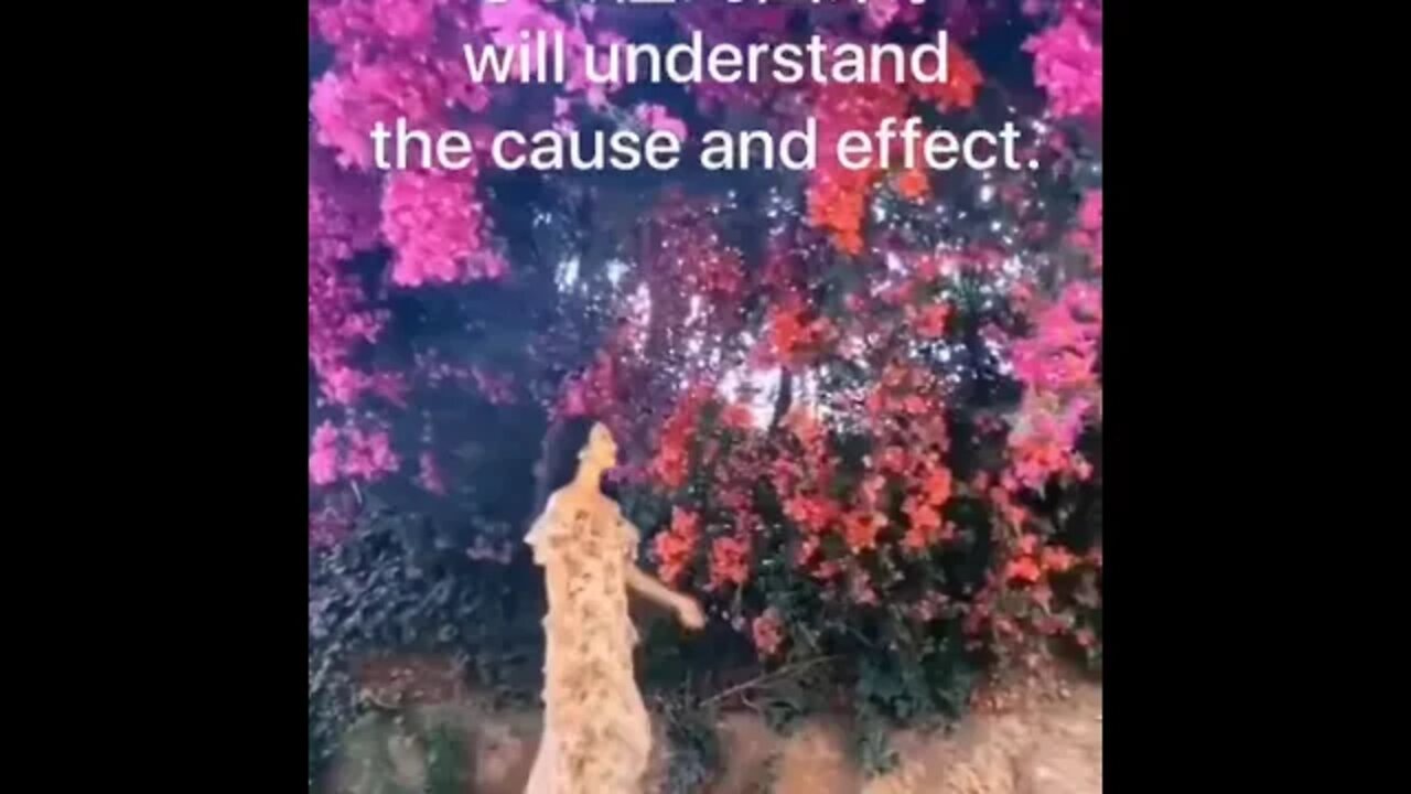 开悟堂世界公民频道 Kaiwutang world citizen channel 2020.5.31