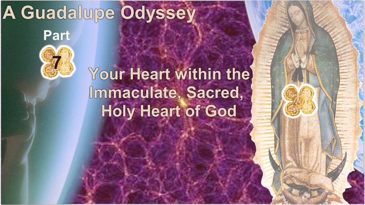 Your Heart within the Immaculate, Sacred, Holy Heart of God, A Guadalupe Odyssey part 7