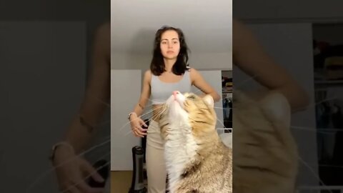 Good cat.. helps her not to emberassing herself