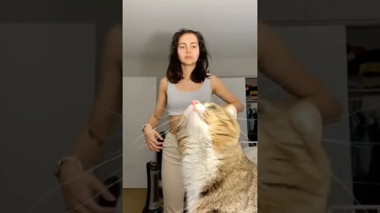 Good cat.. helps her not to emberassing herself