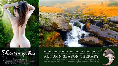 Nature Therapy | Shinrin-Yoku Asmr | Bio Music 010 ▶️