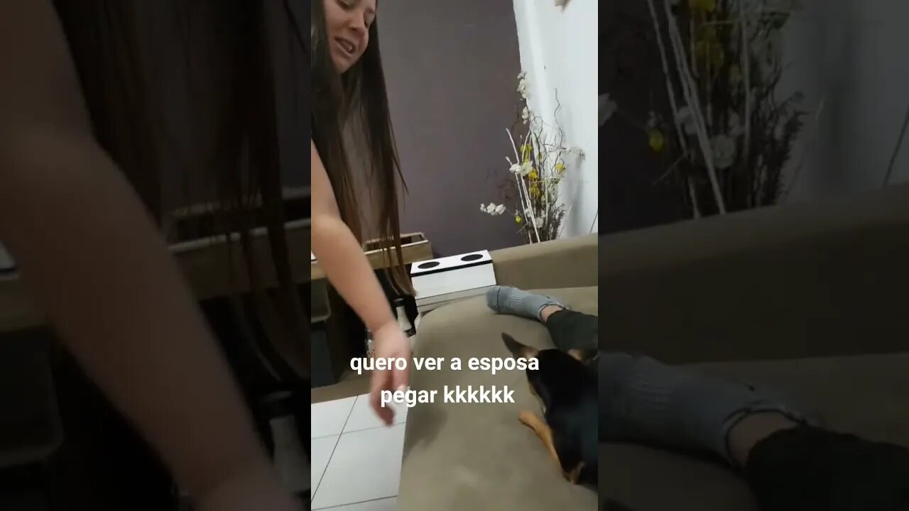 Dog won't let wife take husband's wallet😂