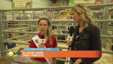 Wednesday at the Erie County Fair