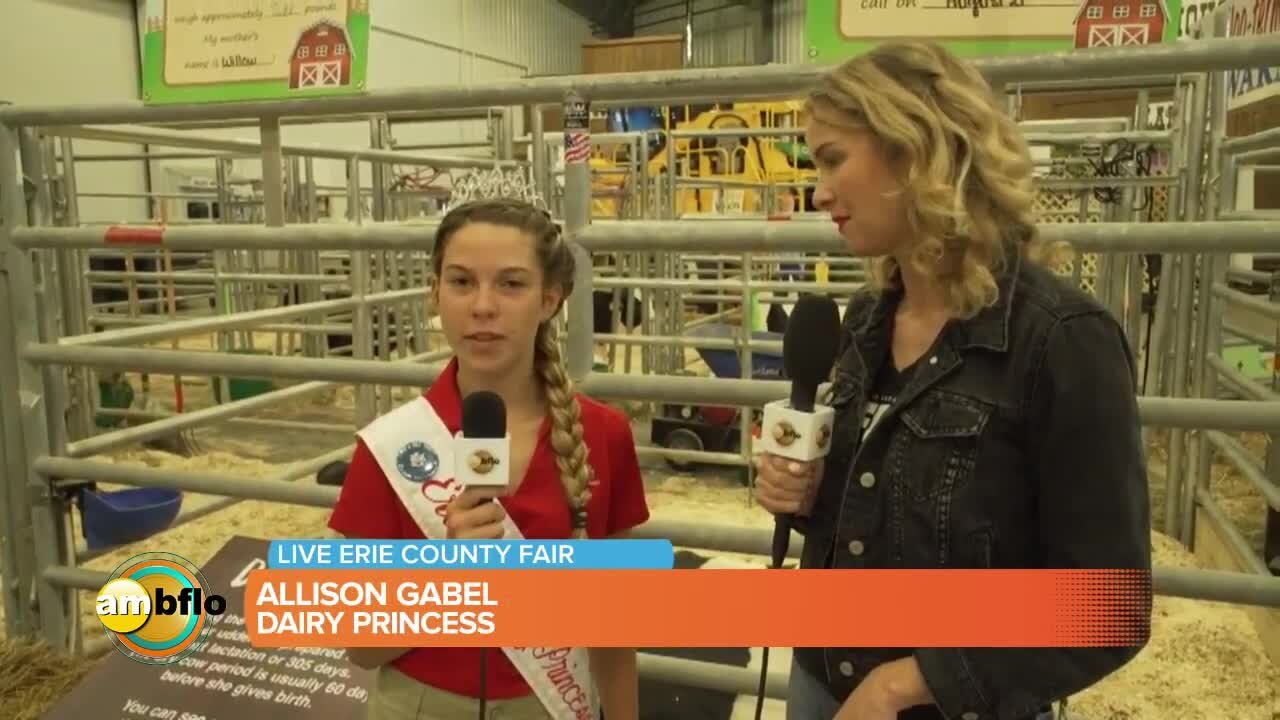 Wednesday at the Erie County Fair