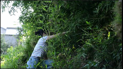 How to catch fish in China is easy to do.