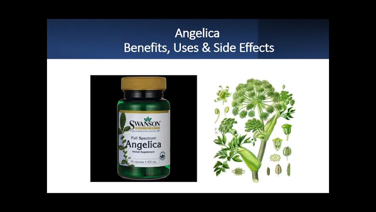 Angelica - Benefits, Uses & Side Effects