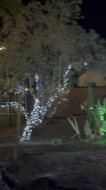 MERRY CHRISTMAS 2023