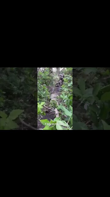 🇷🇺🇺🇦 Ukrainian Soldiers Surrendering To Russian Forces Rather Then Be Sent To Their Slaughter 💯