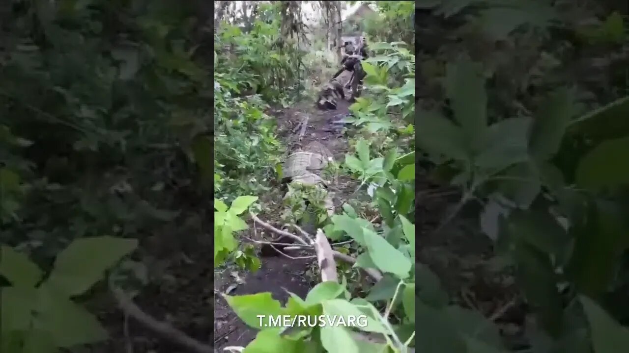 π·πΊπΊπ¦ Ukrainian Soldiers Surrendering To Russian Forces Rather Then Be Sent To Their Slaughter π―