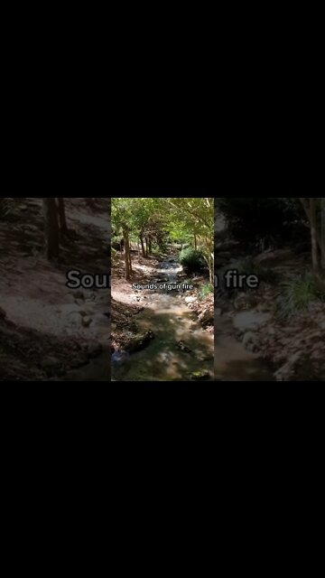 What You See and Hear Hit Different Here