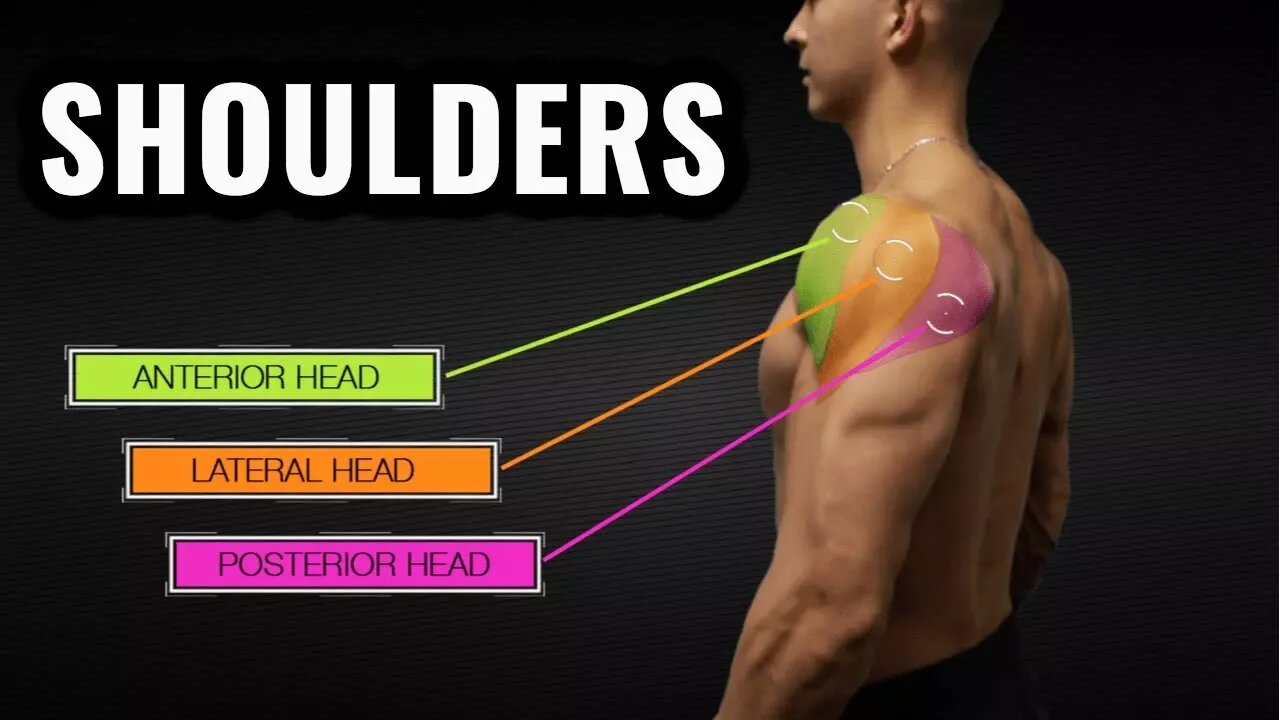 The Best Science-Based Shoulder Workout for Size and Symmetry