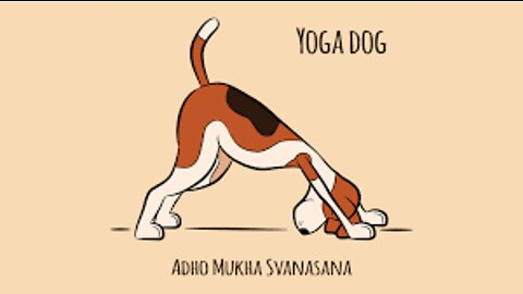 Dog works Yoga