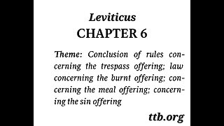 Leviticus Chapter 6 (Bible Study)