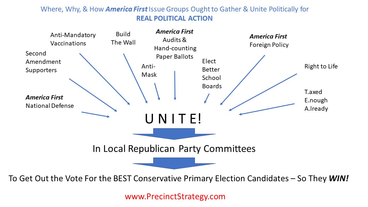 Precinct Strategy Issues versus Action -- WAYGTDAI? Dan Schultz May 1 2023