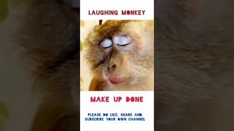 FUNNY🤣😁 MONKEY🐵 #shorts