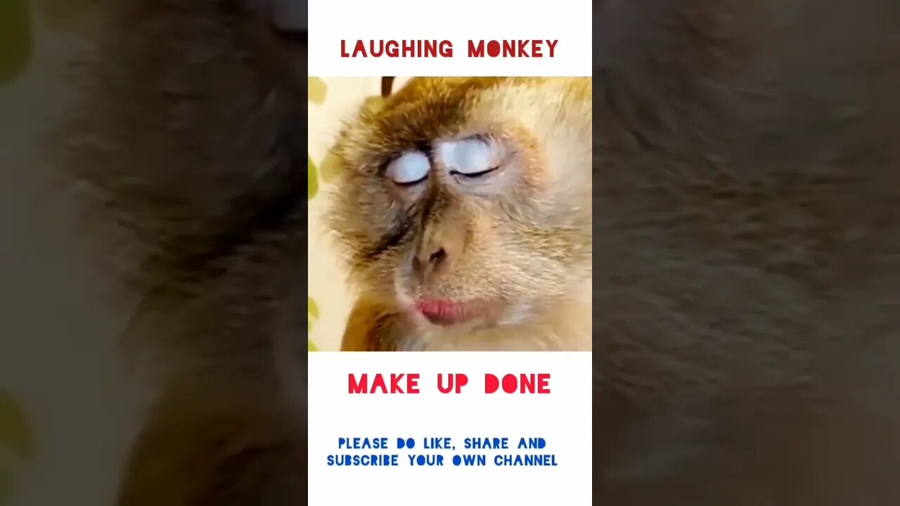 FUNNY🤣😁 MONKEY🐵 #shorts